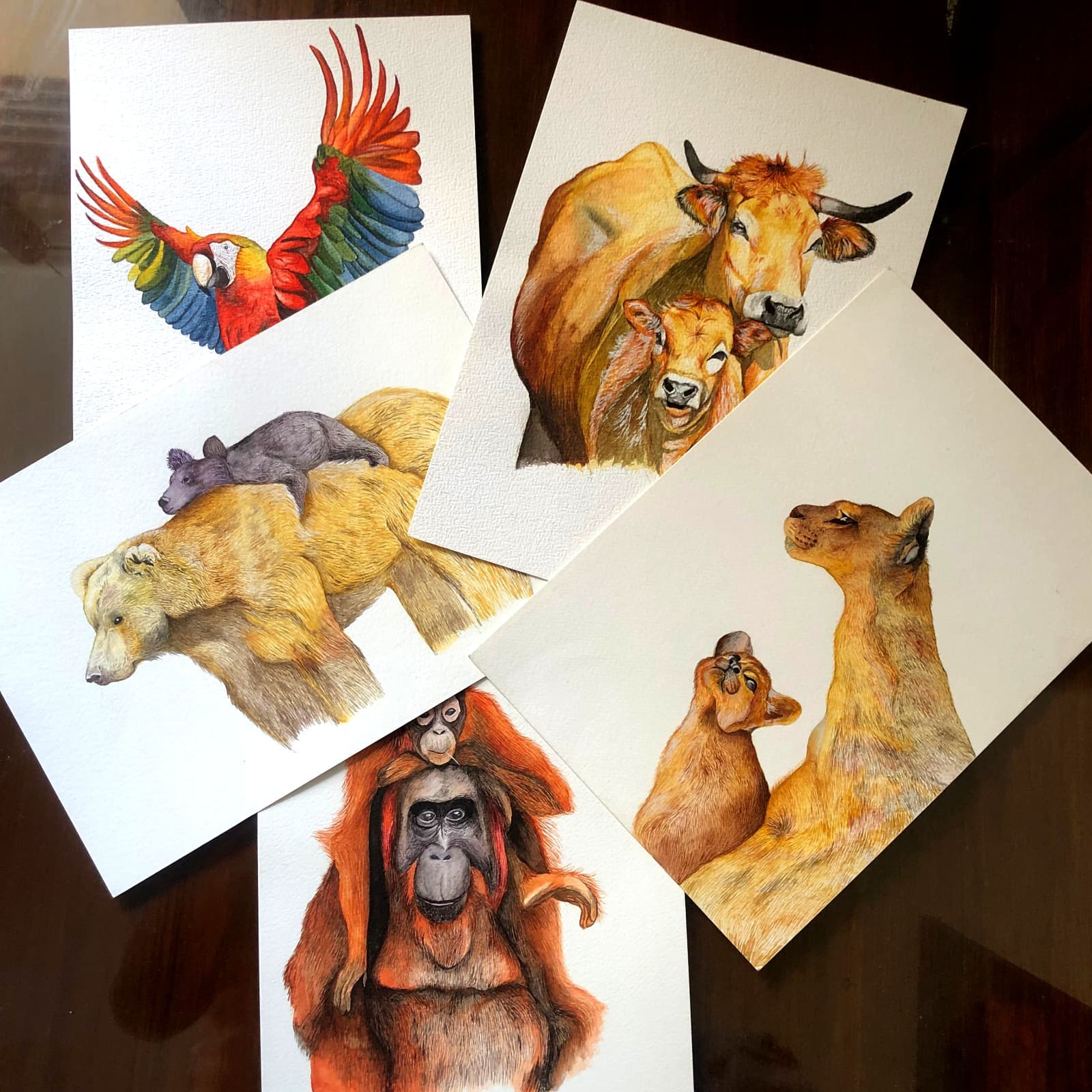 Paintings collection - Daminih Arts