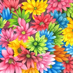 Gerbera Daisies thumbnail 0