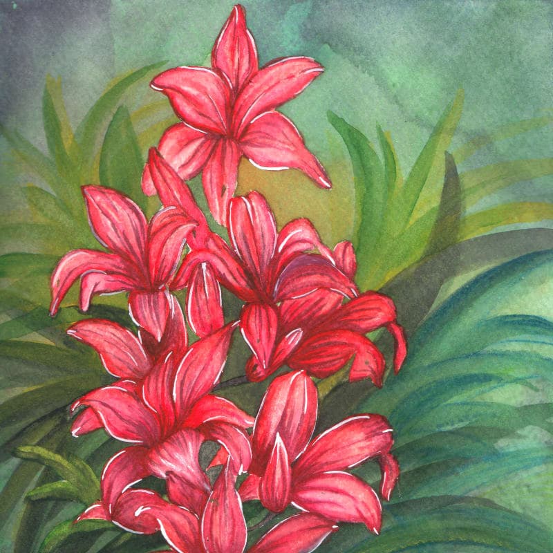 Pink Lilies
