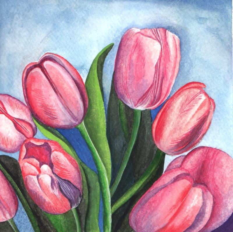 Tulips