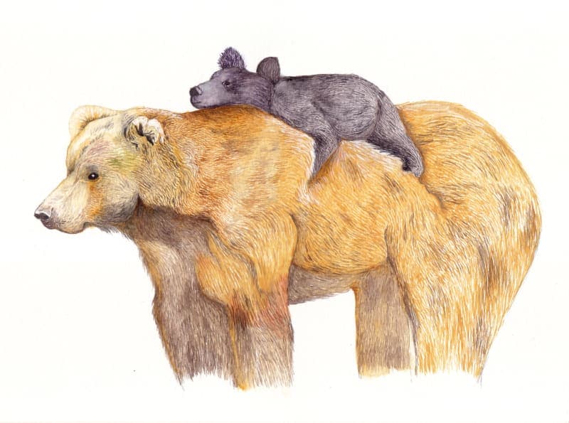 Mother bear with baby